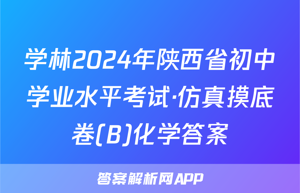 学林2024年陕西省初中学业水平考试·仿真摸底卷(B)化学答案