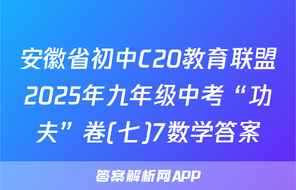 安徽省初中C20教育联盟2025年九年级中考“功夫”卷(七)7数学答案
