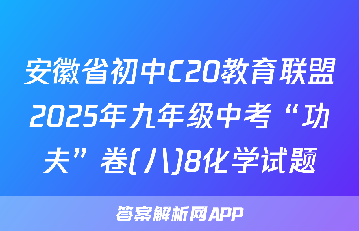 安徽省初中C20教育联盟2025年九年级中考“功夫”卷(八)8化学试题