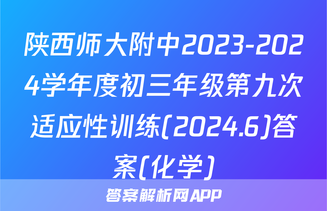陕西师大附中2023-2024学年度初三年级第九次适应性训练(2024.6)答案(化学)