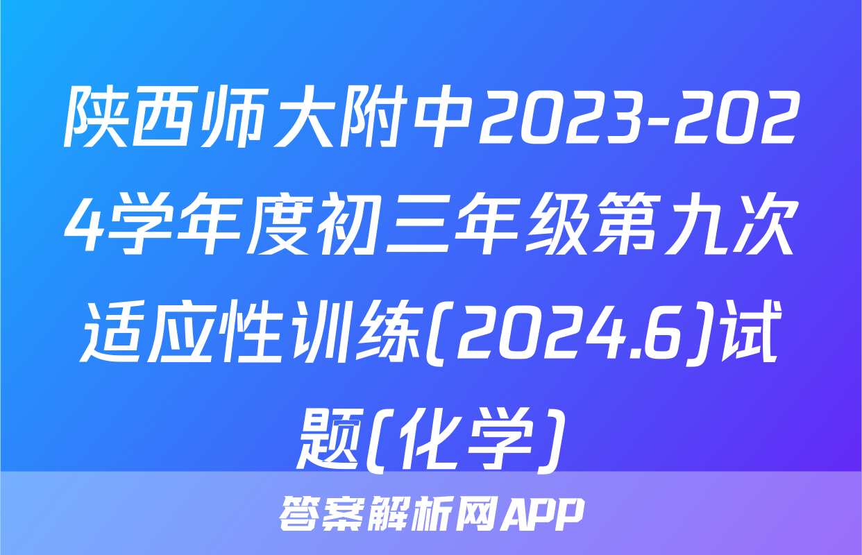 陕西师大附中2023-2024学年度初三年级第九次适应性训练(2024.6)试题(化学)