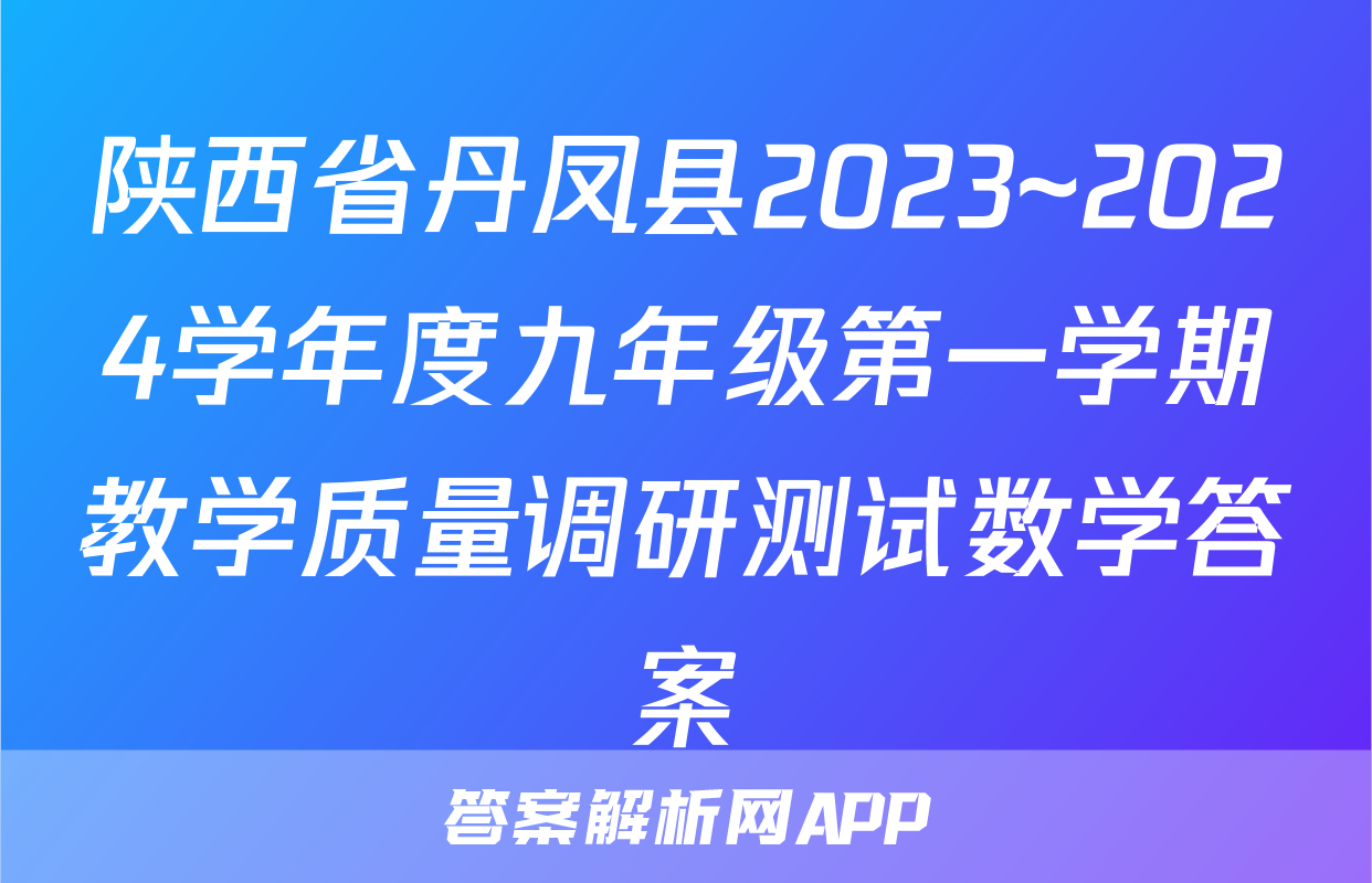 陕西省丹凤县2023~2024学年度九年级第一学期教学质量调研测试数学答案