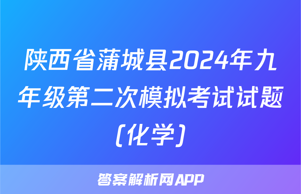 陕西省蒲城县2024年九年级第二次模拟考试试题(化学)