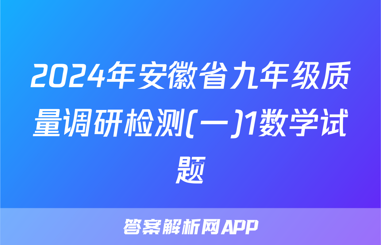 2024年安徽省九年级质量调研检测(一)1数学试题