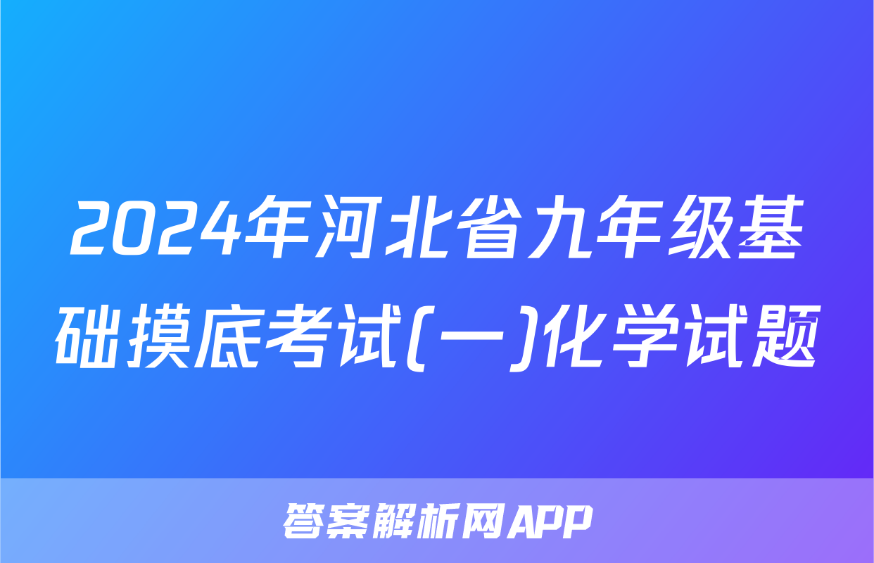 2024年河北省九年级基础摸底考试(一)化学试题