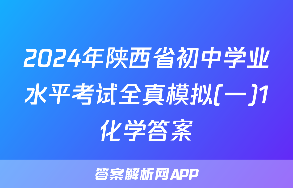 2024年陕西省初中学业水平考试全真模拟(一)1化学答案